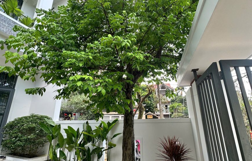 MiA HOMESTAY
